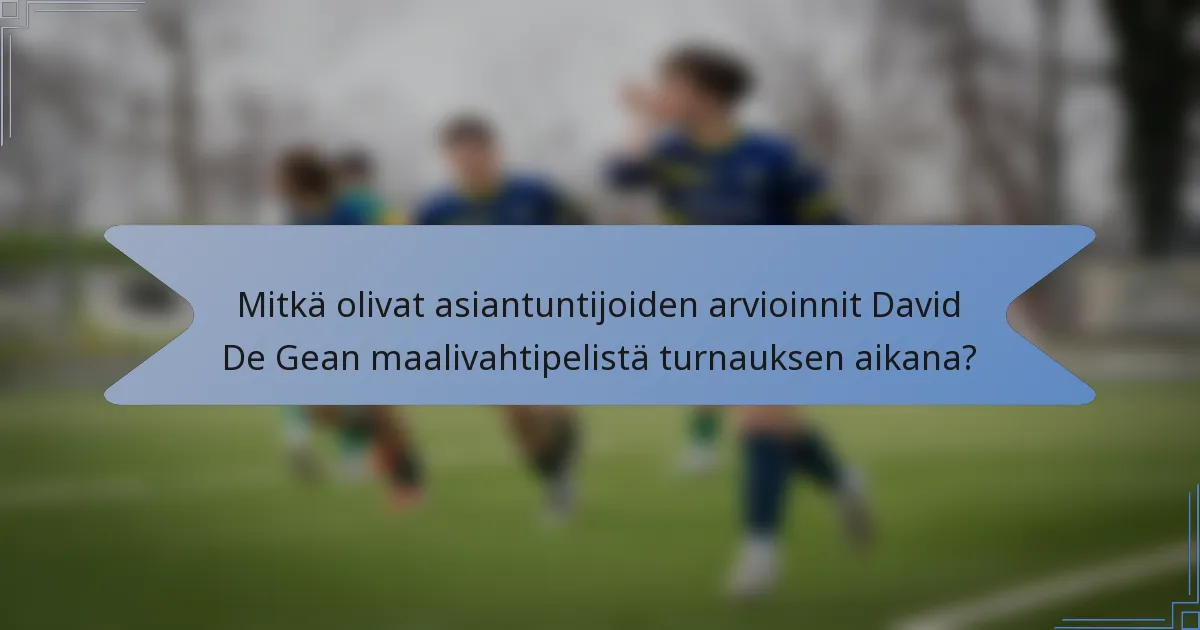 Mitkä olivat asiantuntijoiden arvioinnit David De Gean maalivahtipelistä turnauksen aikana?